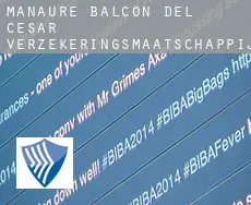 Manaure Balcón del Cesar  verzekeringsmaatschappij