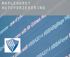 Maplehurst  autoverzekering