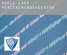 Odell Lake  verzekeringsagenten