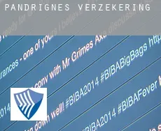 Pandrignes  verzekering