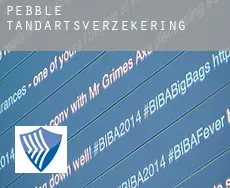 Pebble  tandartsverzekering