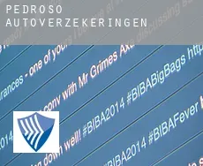 Pedroso  autoverzekeringen
