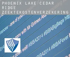 Phoenix Lake-Cedar Ridge ziektekostenverzekering
