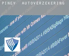 Piney  autoverzekering