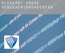 Pleasant Grove  verzekeringsagenten