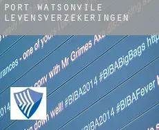 Port Watsonvile  levensverzekeringen
