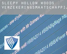 Sleepy Hollow Woods  verzekeringsmaatschappij
