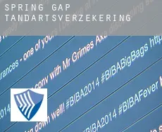 Spring Gap  tandartsverzekering