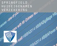 Springfield  huiseigenaren verzekering