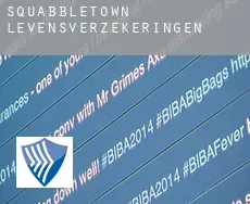 Squabbletown levensverzekeringen