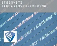 Steinwitz  tandartsverzekering
