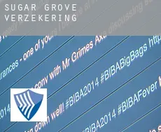 Sugar Grove  verzekering