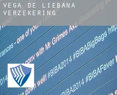 Vega de Liébana verzekering
