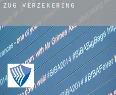 Zug  verzekering