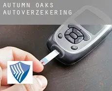 Autumn Oaks  autoverzekering