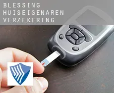 Blessing  huiseigenaren verzekering