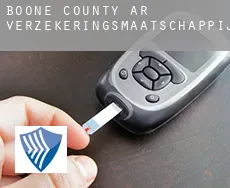 Boone County  verzekeringsmaatschappij