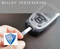 Bulley  verzekering