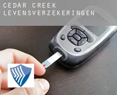Cedar Creek  levensverzekeringen