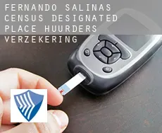 Fernando Salinas  huurders verzekering