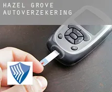 Hazel Grove  autoverzekering
