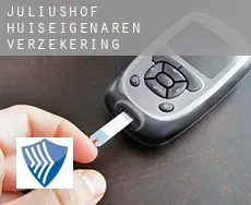 Juliushof  huiseigenaren verzekering