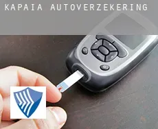 Kapaia  autoverzekering