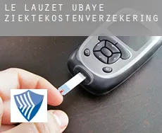 Le Lauzet-Ubaye  ziektekostenverzekering