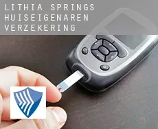 Lithia Springs  huiseigenaren verzekering