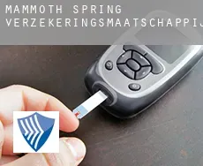 Mammoth Spring  verzekeringsmaatschappij