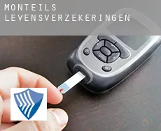 Monteils  levensverzekeringen