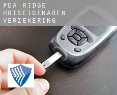 Pea Ridge  huiseigenaren verzekering