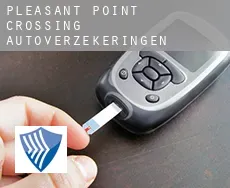 Pleasant Point Crossing autoverzekeringen