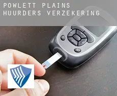 Powlett Plains  huurders verzekering