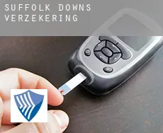 Suffolk Downs  verzekering