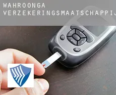 Wahroonga  verzekeringsmaatschappij