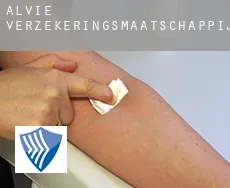 Alvie  verzekeringsmaatschappij