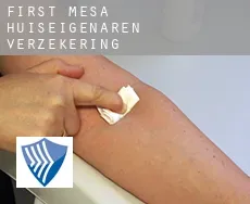 First Mesa  huiseigenaren verzekering