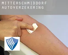 Mitterschmiddorf  autoverzekering