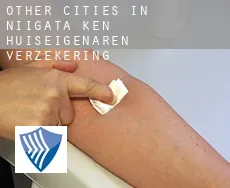 Other cities in Niigata-ken  huiseigenaren verzekering