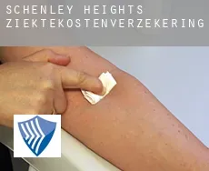 Schenley Heights  ziektekostenverzekering