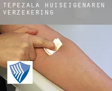 Tepezalá  huiseigenaren verzekering
