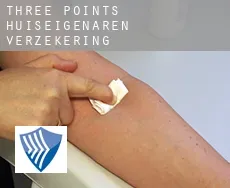 Three Points  huiseigenaren verzekering