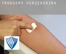 Troguéry  verzekering