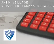 Ambo Village  verzekeringsmaatschappij