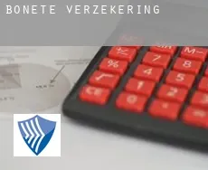 Bonete  verzekering