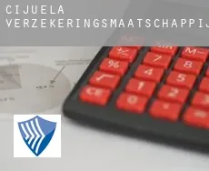 Cijuela  verzekeringsmaatschappij