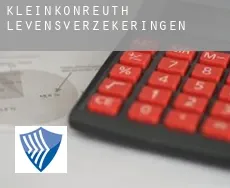 Kleinkonreuth  levensverzekeringen