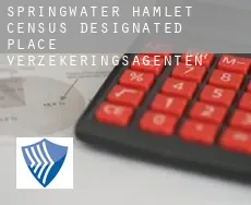 Springwater Hamlet  verzekeringsagenten