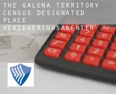 The Galena Territory  verzekeringsagenten